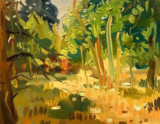 Plein Air Painting _ Las Vegas