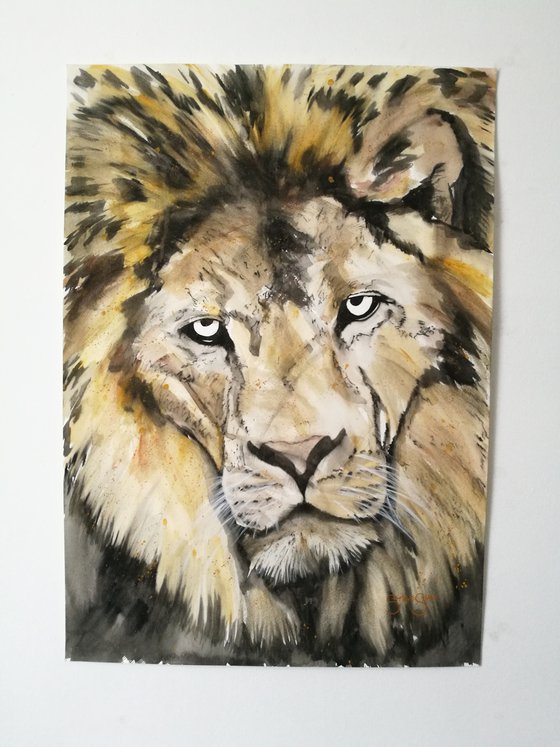 Stately. Watercolour Lion Painting on paper. 42cm x 59.4cm. Free Shipping