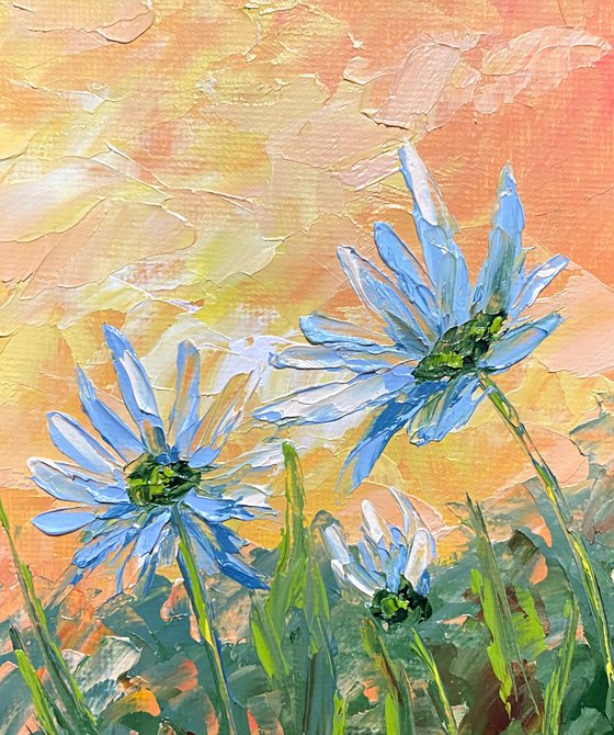 Daisies at sunset