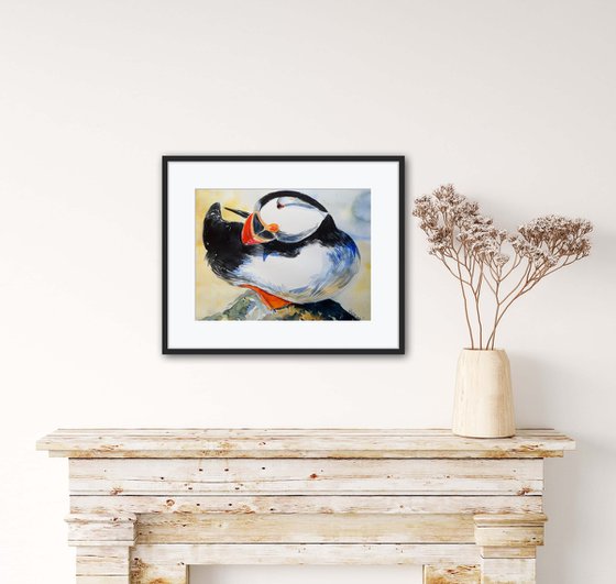 Bird . Atlantic puffin