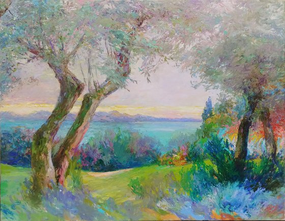 Olive grove.
