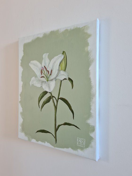 Oriental Lily Study 1