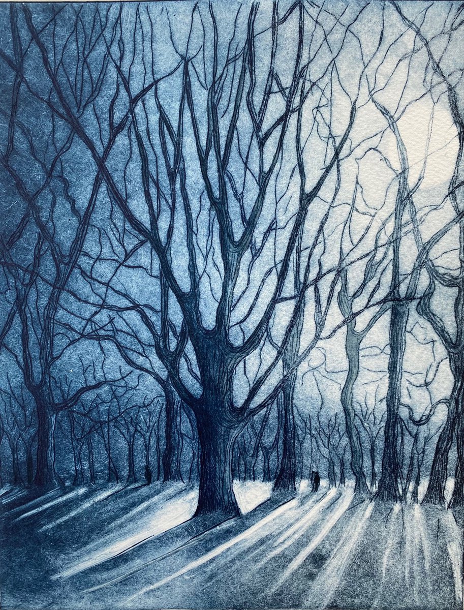 Winter Light by Rebecca Denton