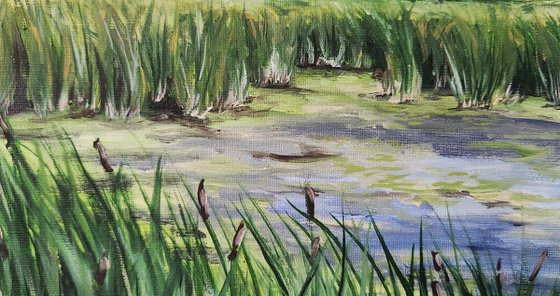 "Wetlands" - Landscape - Lake