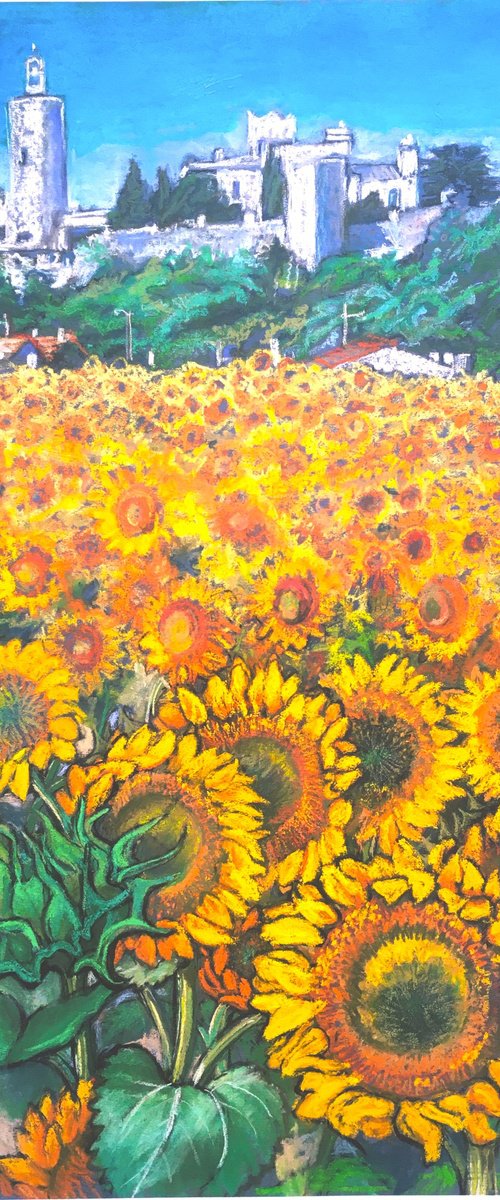 Fields of Sunflowers by Patricia Clements