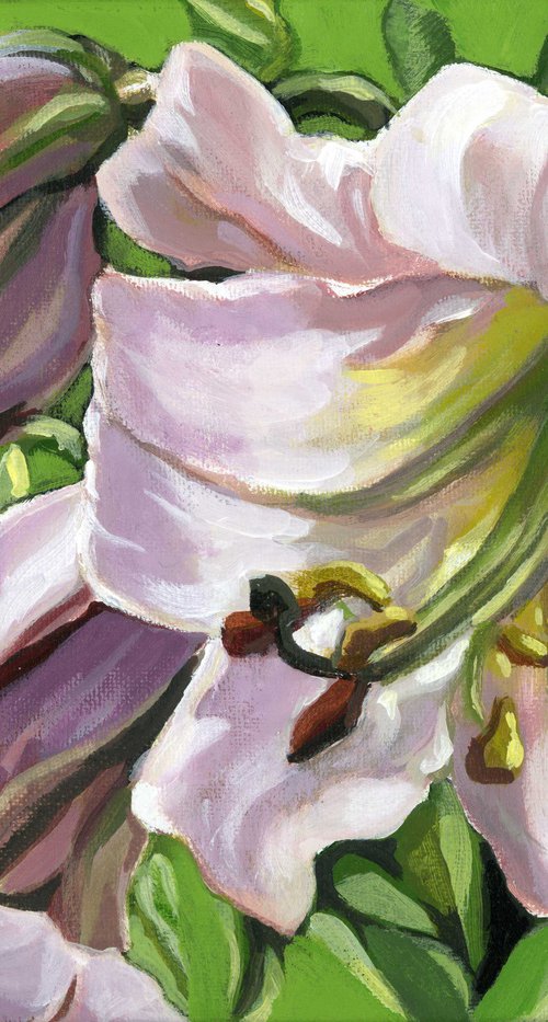 pink lily with green acrylic painting by Alfred  Ng