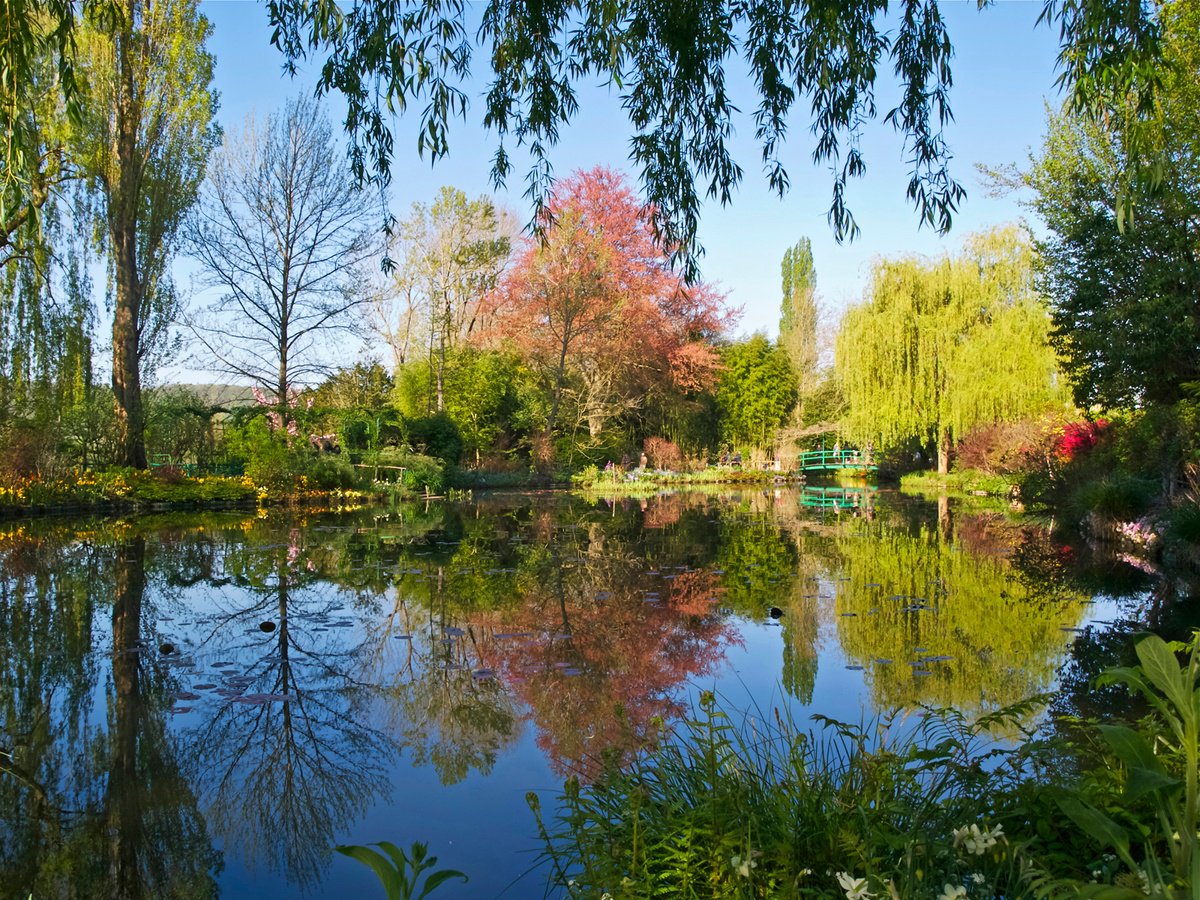 Photorealistic Botanical Photograph By Alex Cassels, 24 X 19, Printemps i? Giverny, Original Artwork