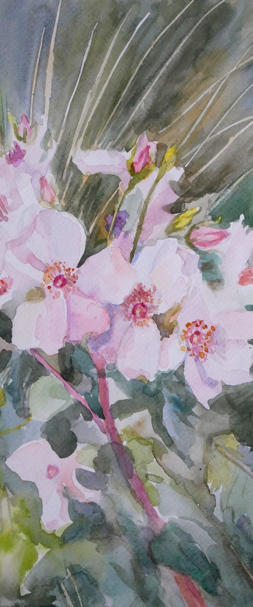 Roses in the grass by Elena Lykhodid