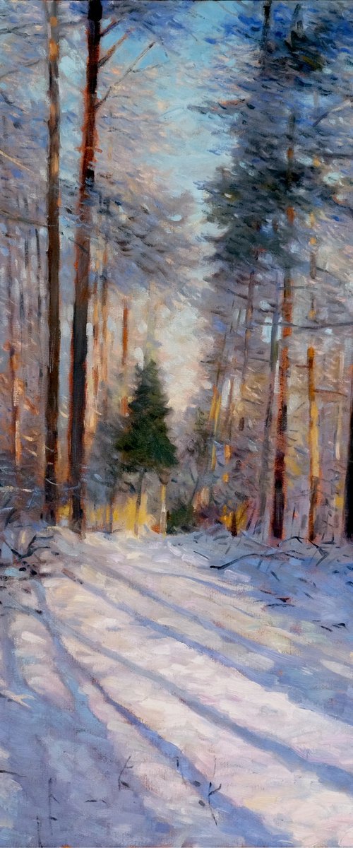Fairytale forest by Richard Mierniczak