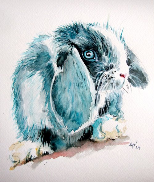 Cute rabbit by Kovács Anna Brigitta
