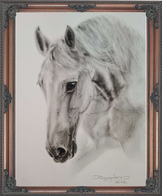 Oil painting horse