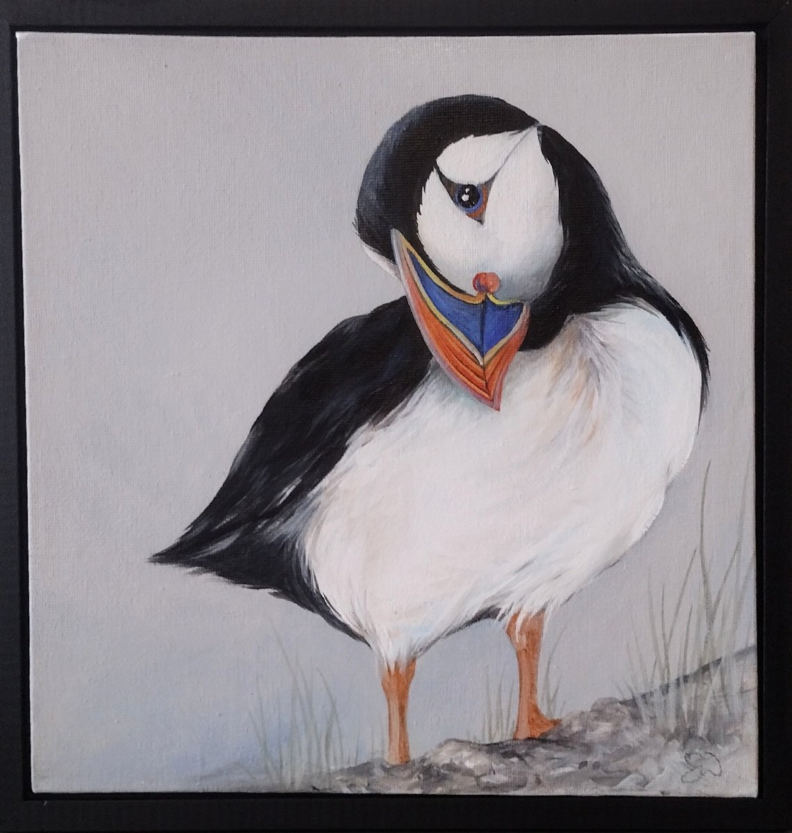 Puffin by Sara Westaway