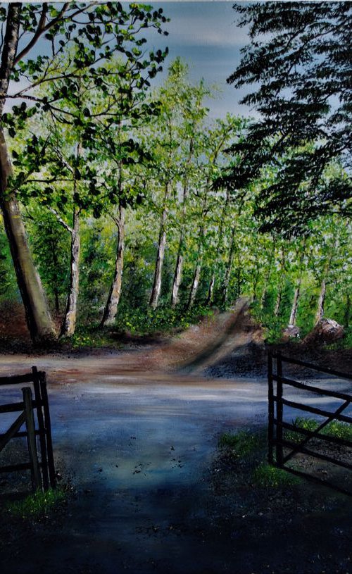 Step Into The Light by Hazel Thomson