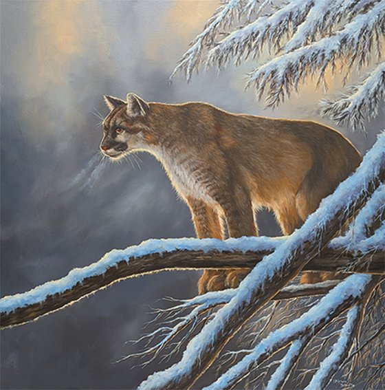 Winter Watch