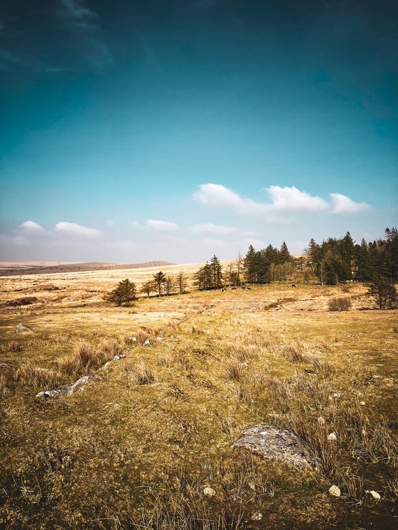 Dartmoor 2018, 01 - A4
