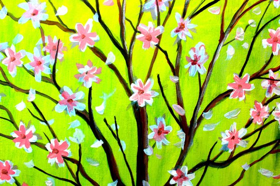 Magnolia Spring