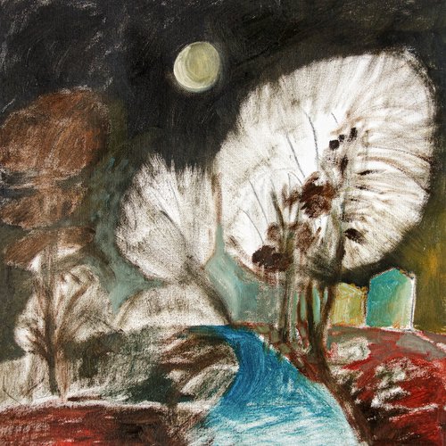 Midnight Hawthorn Blossom by Elizabeth Anne Fox