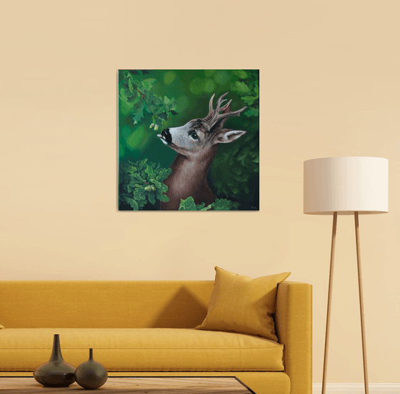 Deer
