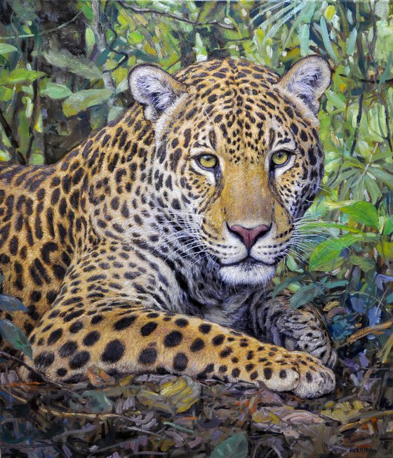 Jaguar