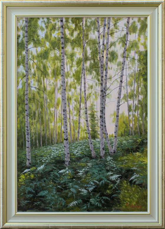 Ferns in a Birch Forest