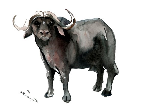 Buffalo