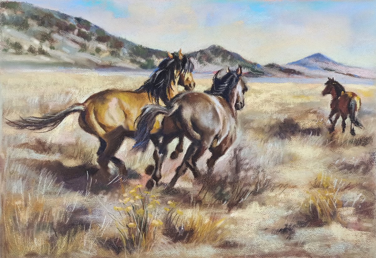 Prairie by Magdalena Palega