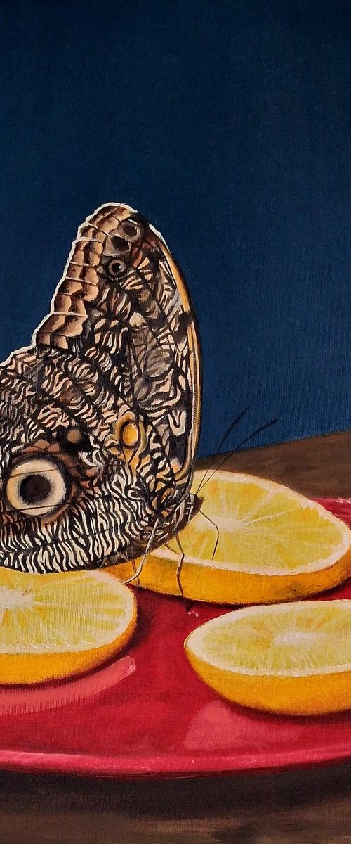 A FRAGILE PAUSE by Semire Akyazı