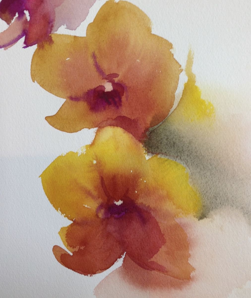 Orchids by Sri Rao