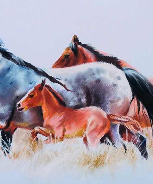 Horse family by Magdalena Palega