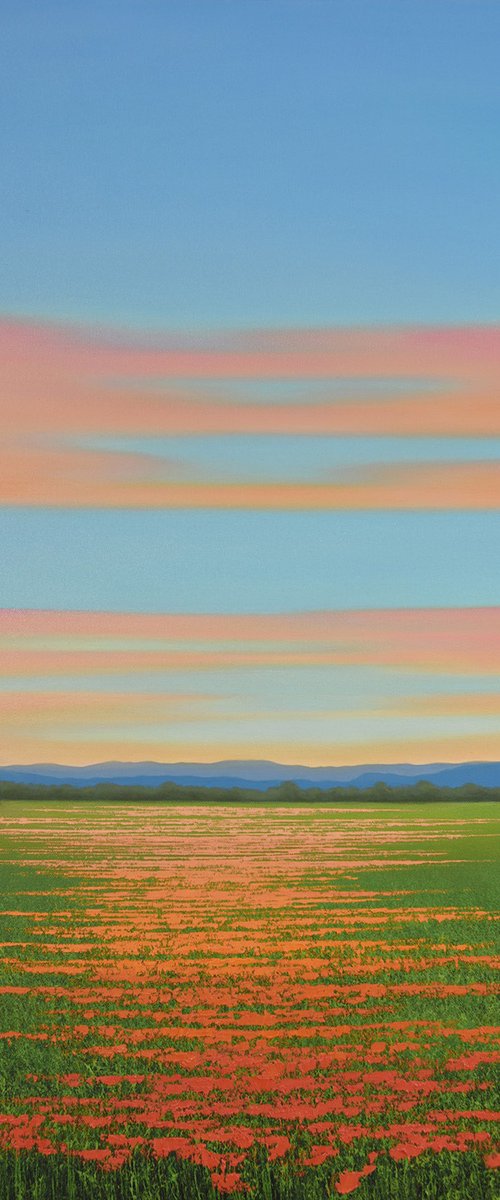 Twilight Blush - Flower Field by Suzanne Vaughan