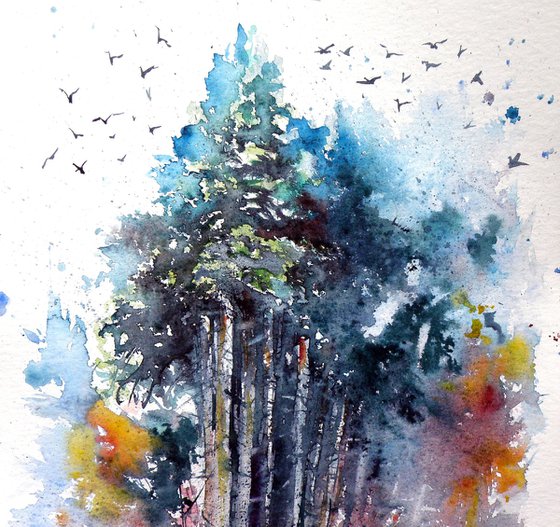 Forest with birds
