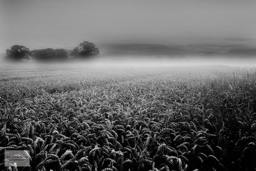 Yorkshire #1 - Kildale Dawn by Jonathan Brown