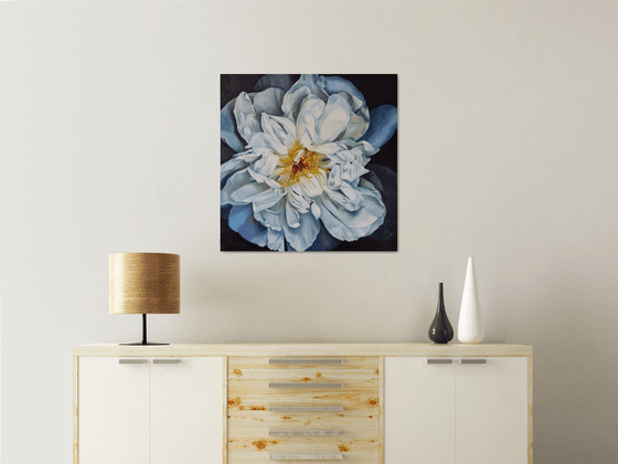 "My space" peony  flower 2022