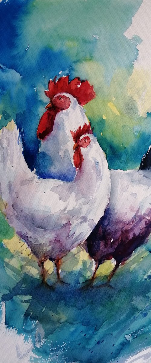 roosters and hens 9 by Giorgio Gosti
