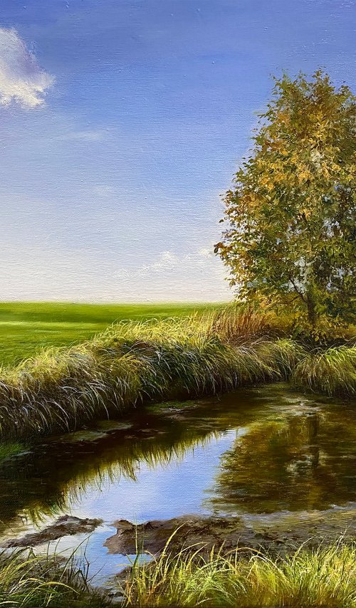 summer breeze by Farzaneh Maddahi
