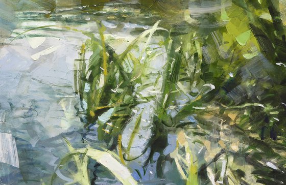 River grass2