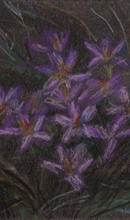 First Flowers I, 2018, oil pastel on paper, 21 x 29.7 cm by Alenka Koderman