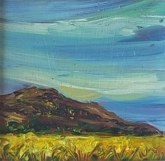 The Summer Fields of Bray Head, Wicklow, Ireland - a Mini Irish Landscape