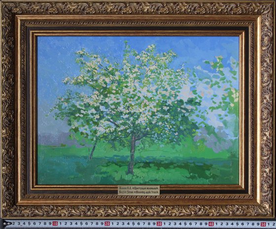 Blooming apple tree