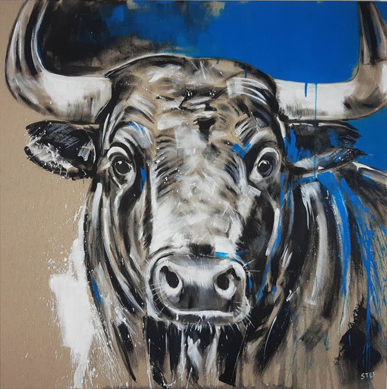 TAURUS #6 – Close up portrait of a bull