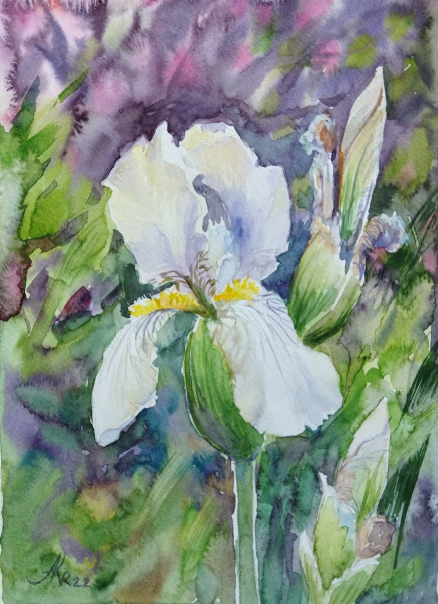 Wild irises by Ann Krasikova