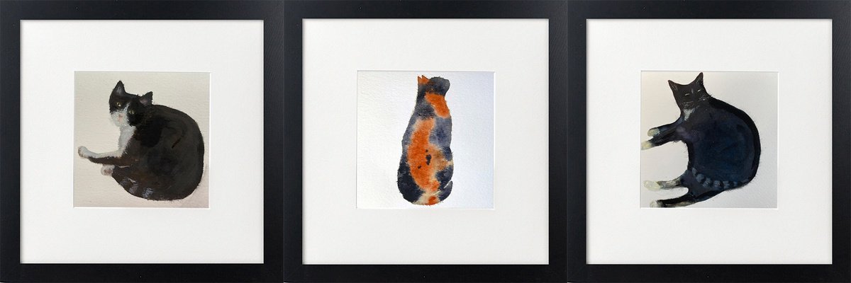 Expressive Watercolour , Three Cats Framed By Teresa Tanner, 10 X 10, Artwork For Sale On Artfinder