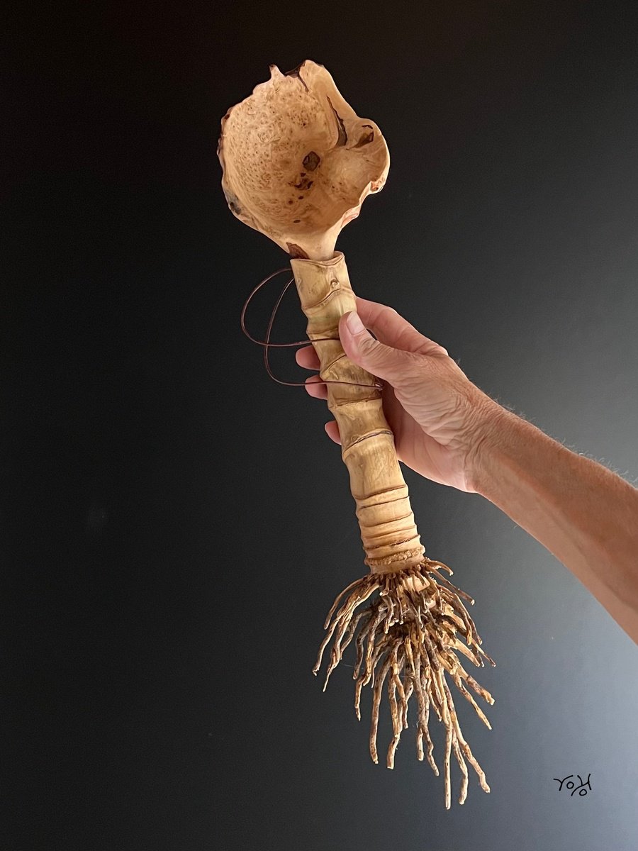 Organic Botanical Wood Sculpture By Roland Kopfer, 5 X 22", Wood Spoon 1094, Original Artwork