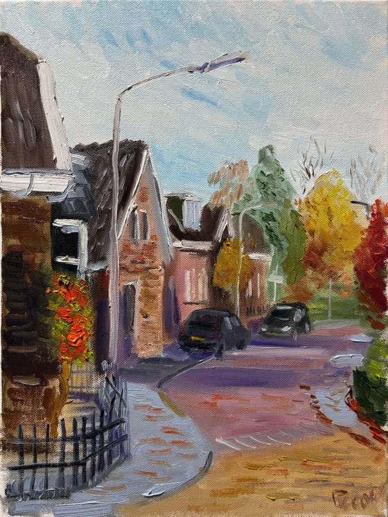Autumn Streets of Beilen