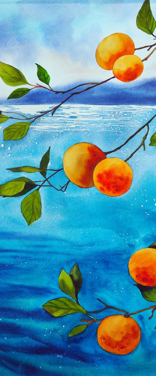Mediterranean by Delnara El