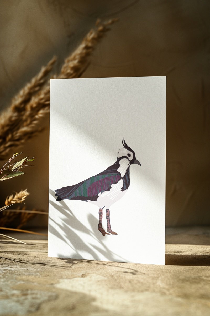 Animal Giclee Print By Emma Evans-Freke, 12 X 17, A Lapwing Bird, Original Artwork