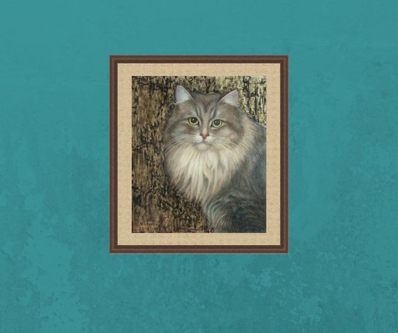 "Siberian cat"