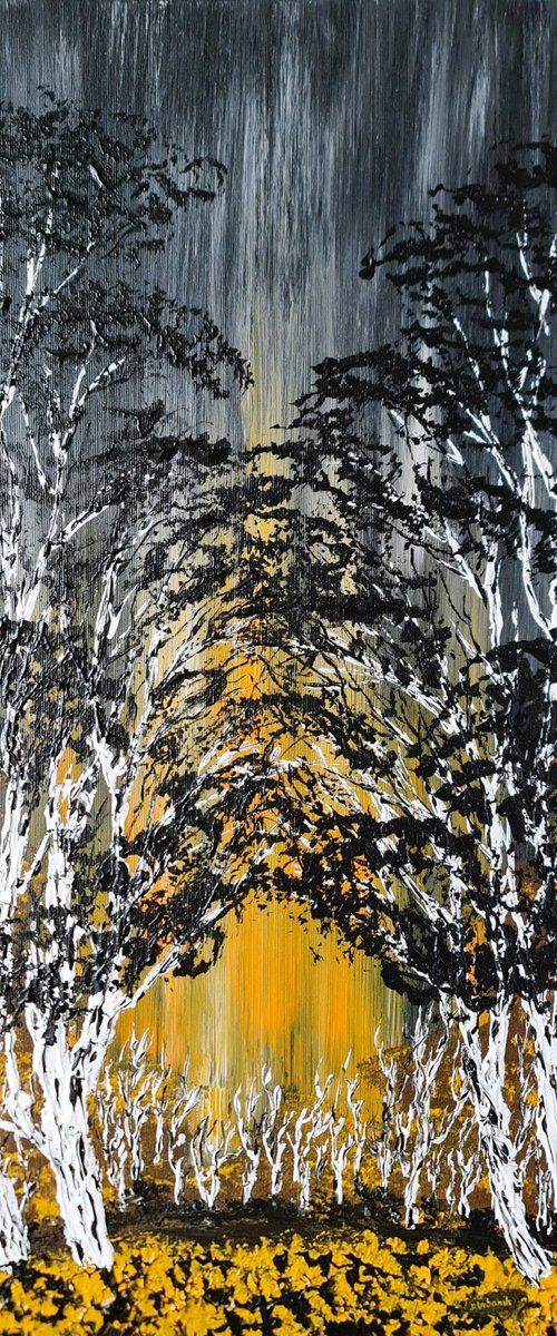 Birch Eclipse by Daniel Urbaník