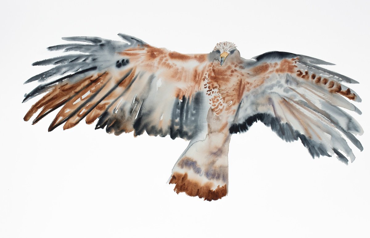 Expressive Animal Watercolour By Elizabeth Becker, 40 X 26, Flying Hawk No. 2, Original Artwork