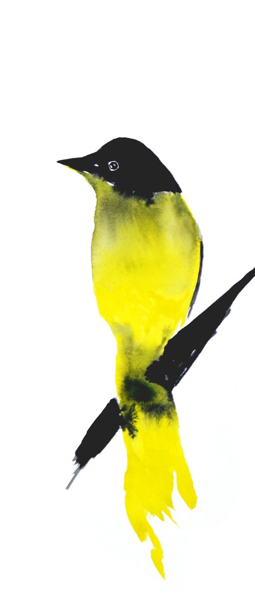 Bird by Nadia Moniatis
